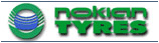 http://saratov.bz/image-foto/1258097553nokian.gif
